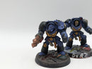 Warhammer 40k: Space Marine Terminators (AQ004)