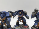 Warhammer 40k: Space Marine Terminators (AQ004)