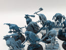 Warhammer Age of Sigmar: Nighthaunt Chainrasps (BC016)