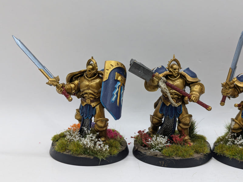Warhammer Age of Sigmar: Stormcast Eternals Liberators - Well Painted (AW231)