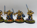 Warhammer Age of Sigmar: Stormcast Eternals Liberators - Well Painted (AW231)