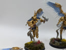 Warhammer Age of Sigmar: Stormcast Eternals Prosecutors - Well Painted (AW115)