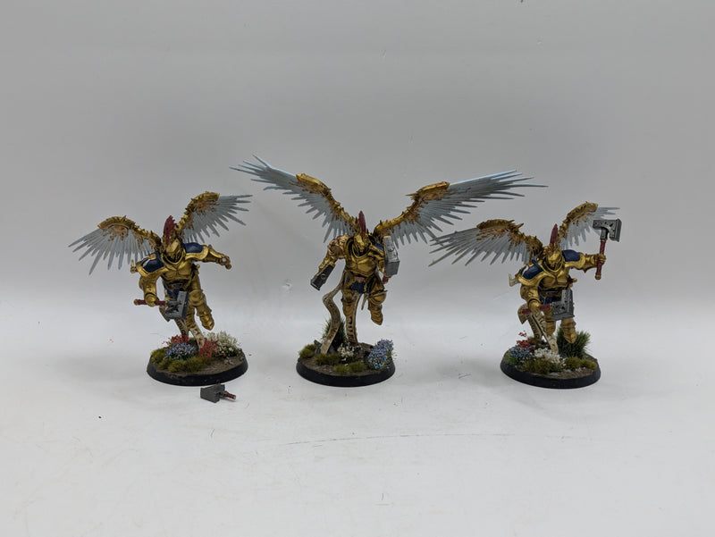 Warhammer Age of Sigmar: Stormcast Eternals Prosecutors - Well Painted (AW147)