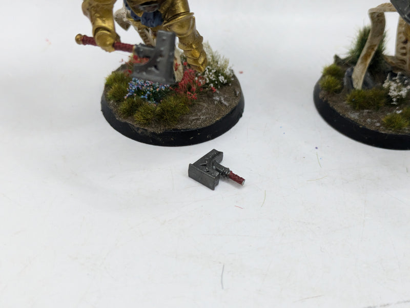 Warhammer Age of Sigmar: Stormcast Eternals Prosecutors - Well Painted (AW147)