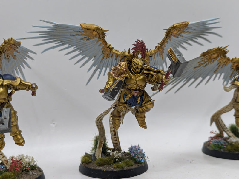 Warhammer Age of Sigmar: Stormcast Eternals Prosecutors - Well Painted (AW147)