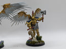 Warhammer Age of Sigmar: Stormcast Eternals Prosecutors - Well Painted (AW147)