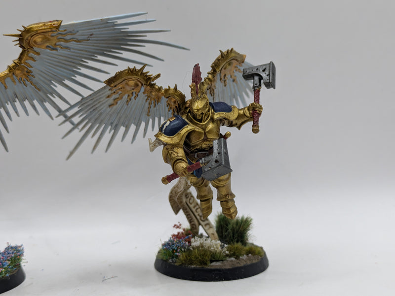Warhammer Age of Sigmar: Stormcast Eternals Prosecutors - Well Painted (AW147)