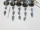 Warhammer Age of Sigmar: Lumineth Realm-Lords Vanari Auralan Wardens (AA088)