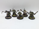 Warhammer Age of Sigmar: Maggotkin of Nurgle Putrid Blightkings - Well painted (AI014)