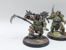 Warhammer Age of Sigmar: Maggotkin of Nurgle Putrid Blightkings - Well painted (AI014)