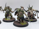 Warhammer Age of Sigmar: Maggotkin of Nurgle Putrid Blightkings - Well painted (AI014)