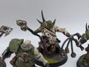 Warhammer Age of Sigmar: Maggotkin of Nurgle Putrid Blightkings - Well painted (AI014)