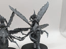 Warhammer 40k: Chaos Daemons Plague Drones of Nurgle (AX098)
