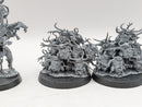 Warhammer 40k: Chaos Daemons Poxbringer and Nurglings (BC035)