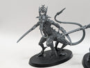 Warhammer 40k: Chaos Daemons Slaanesh Fiends (AF041)