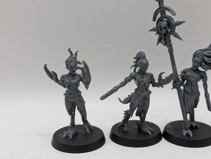 Warhammer 40k: Chaos Daemons Daemonettes of Slaanesh and Infernal Enrapturess (AW009)