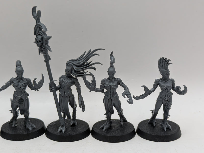 Warhammer 40k: Chaos Daemons Daemonettes of Slaanesh and Infernal Enrapturess (AW009)