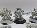 Warhammer 40k: Space Marine Dark Angels Deathwing Terminators (AH078)