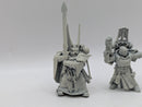 Warhammer 40k: Space Marine Dark Venegence Librarian and Sergeant (AI221)