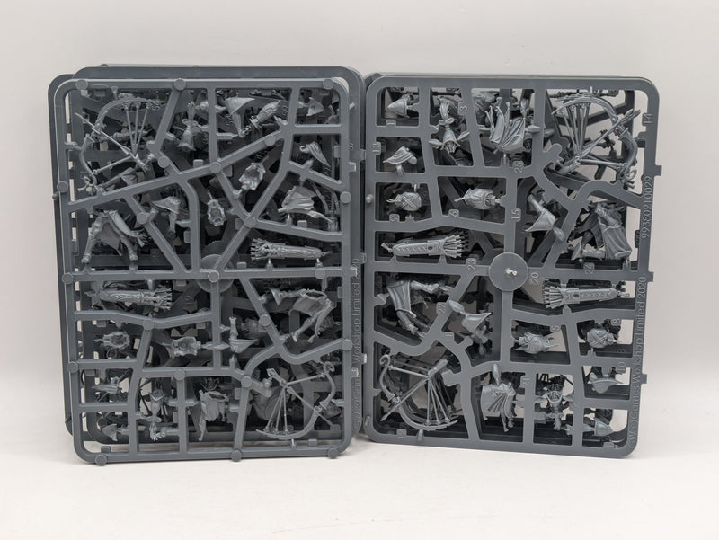 Warhammer Age of Sigmar: Lumineth Realm-lords Vanari Sentinels x15 (SPRUE0007)