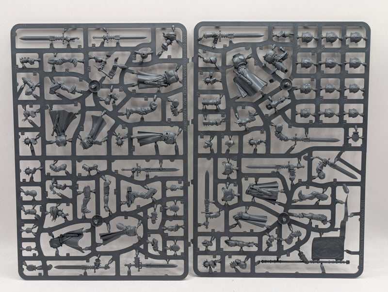 Warhammer Age of Sigmar: Stormcast Eternals Vanquishers (SPRUE0139)