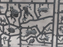 Warhammer Age of Sigmar: Orruk Warclans Gutrippaz - Incomplete (SPRUE0125)