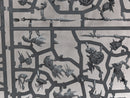Warhammer Age of Sigmar: Orruk Warclans Gutrippaz - Incomplete (SPRUE0125)