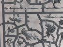 Warhammer Age of Sigmar: Orruk Warclans Gutrippaz - Incomplete (SPRUE0125)