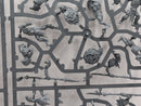 Warhammer Age of Sigmar: Orruk Warclans Gutrippaz - Incomplete (SPRUE0121)