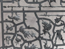 Warhammer Age of Sigmar: Orruk Warclans Gutrippaz - Incomplete (SPRUE0121)