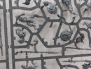 Warhammer Age of Sigmar: Orruk Warclans Gutrippaz - Incomplete (SPRUE0121)