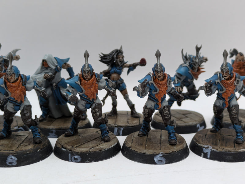 Warhammer Blood Bowl: Dark Elf Blood Bowl Team - Well Painted (BA075)
