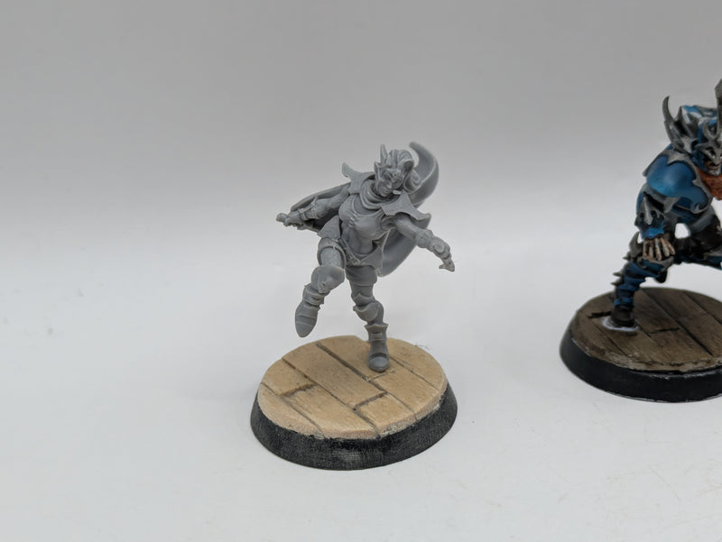 Warhammer Blood Bowl: Dark Elf Blood Bowl Team - Well Painted (BA075)