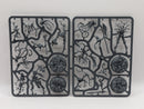 Warhammer Age of Sigmar: Sylvaneth Ylthari's Guardians (SPRUE0117)