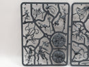 Warhammer Age of Sigmar: Sylvaneth Ylthari's Guardians (SPRUE0127)