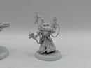 Warhammer 40k: Adeptus Mechanicus Technoarcheologist and Tech-priest Manipulus (AI253)