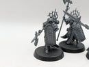 Warhammer 40k: Adepta Sororitas Celestian Sacresants (AW099)