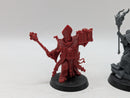 Warhammer 40k: Adepta Sororitas Canoness and Ministorum Priest  (AD098)