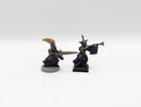 Warhammer The Old World/Fantasy: Vampire Counts Metal Grave Guard Command (AM011)