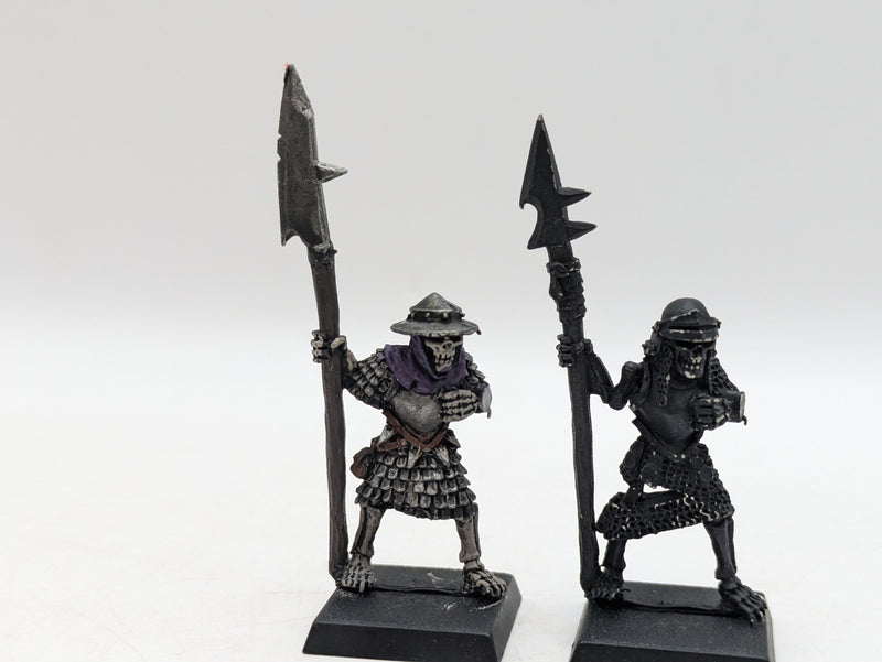 Warhammer The Old World/Fantasy: Vampire Counts Metal Armoured Skeleton Warriors (BC036)