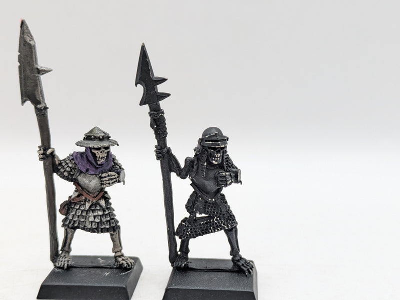 Warhammer The Old World/Fantasy: Vampire Counts Metal Armoured Skeleton Warriors (BC036)