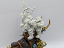 Warhammer Age of Sigmar: Ogor Mawtribes Thundertusk Beastriders on Converted Mammoth (AU073)