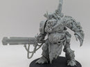 Warhammer 40k: Death Guard Finecast Daemon Prince (AC020)