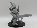 Warhammer 40k: Death Guard Finecast Daemon Prince (AC020)