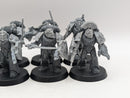 Warhammer Horus Heresy: Space Marines Imperial Fists Converted Phalanx Warders (AW106)