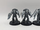 Warhammer Horus Heresy: Space Marines Imperial Fists Converted Phalanx Warders (AW106)