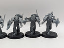 Warhammer Horus Heresy: Space Marines Imperial Fists Converted Phalanx Warders (AW106)