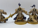 Warhammer 40k: Adpetus Custodes Allarus Terminators (BA058)