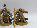 Warhammer 40k: Adpetus Custodes Allarus Terminators (BA058)