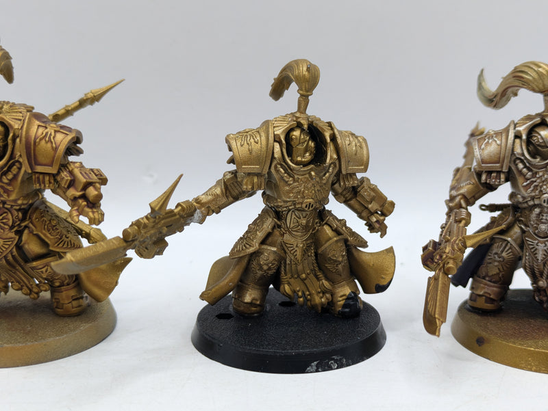 Warhammer 40k: Adpetus Custodes Allarus Terminators (AJ053)